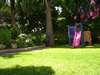 Jasmine Hotel Apts 